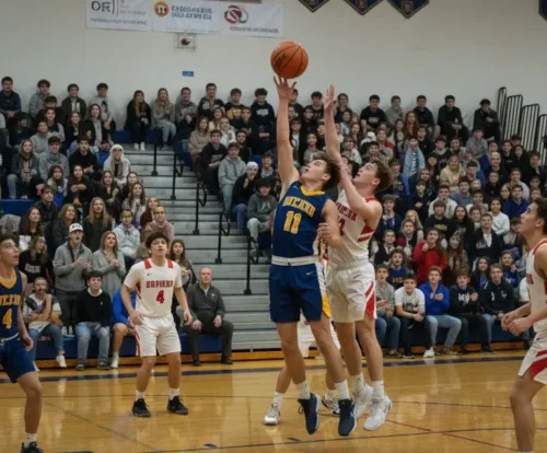 Basketball / Volleyball